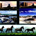 Нургали Койлык