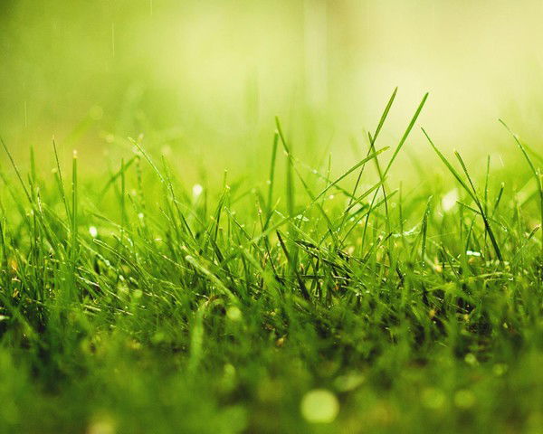 Виктория Соболева