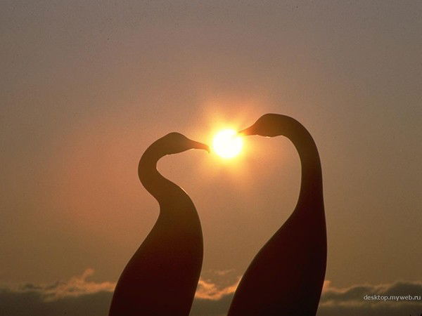 Юлия Фудина