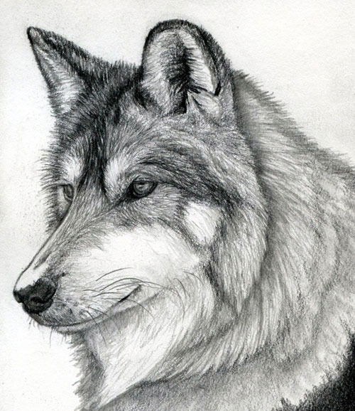 Денис Зражевский