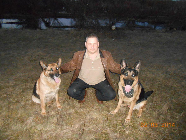 Николай Павлович Бологов