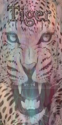 Арсений Габбасов