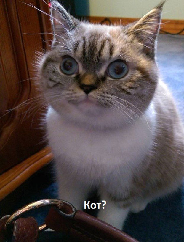 Вячеслав Зайцев