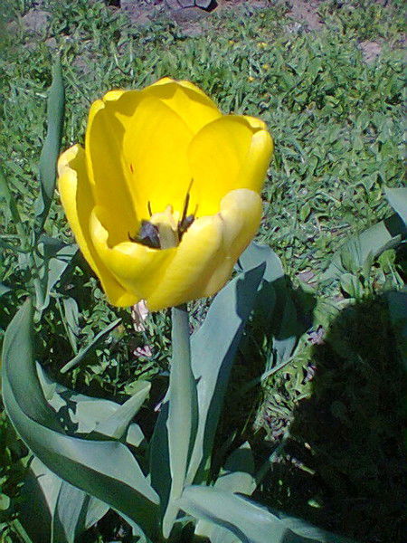 Михаил Ермошин