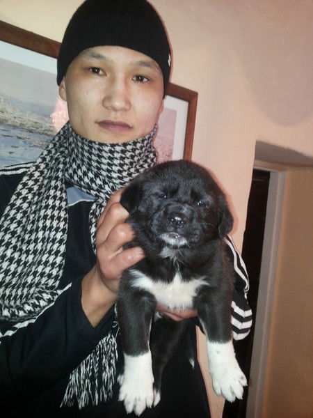 Нурлан Касенов