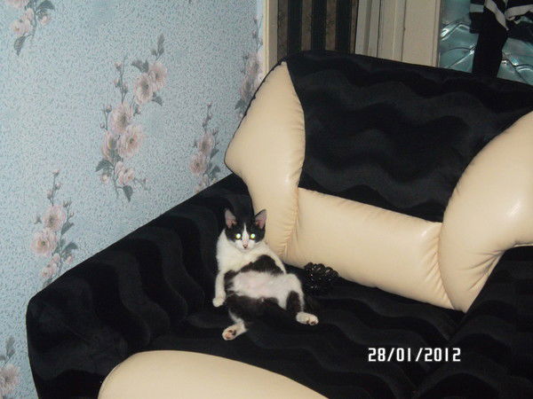 Вадим Цыков