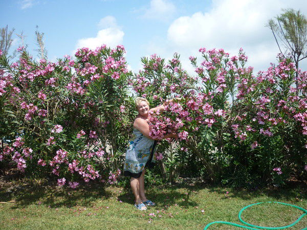 Наталья Пархоменко