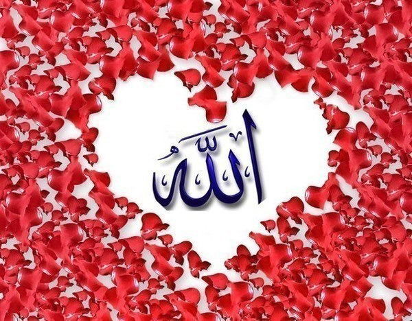 Алмагуль... Бауыржанкызы...