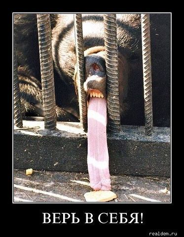 Ирина Ярцева