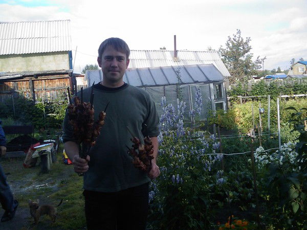 Андрей Мельников