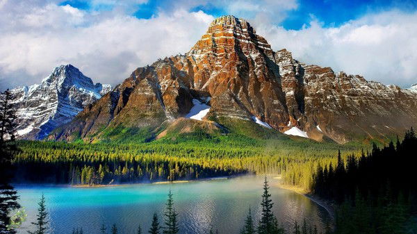 Александр Ас