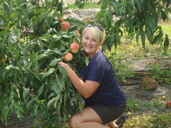 Наталия Панарина