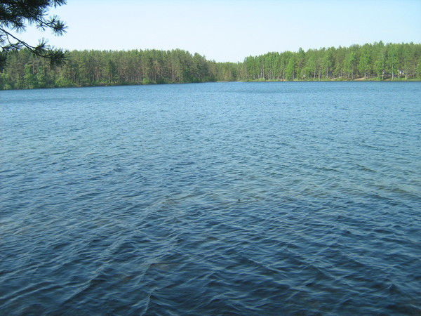 Александр Сергеев