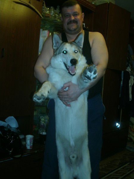 Александр Шевченко