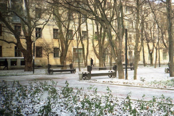 Светлана Калиберда