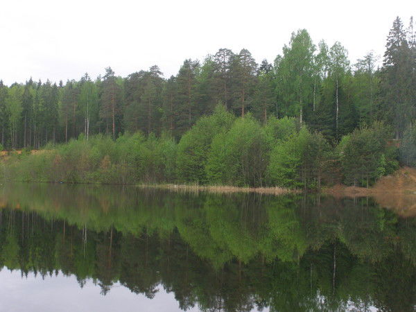 Людмила Журавлёва