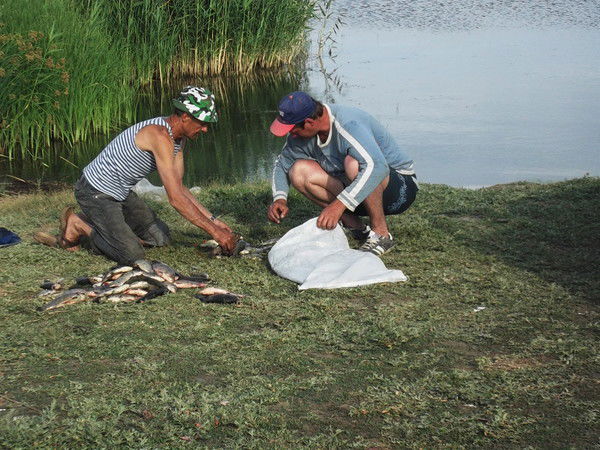 Александр Солошенко