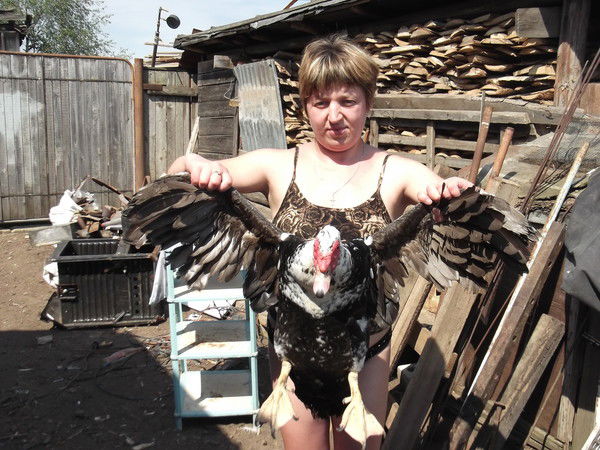 Елена Юшкина