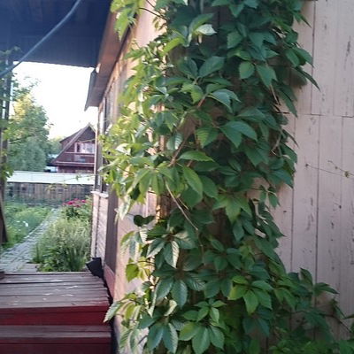 Наталья Блиновских