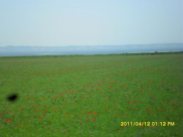 Фатхулло Хурматов