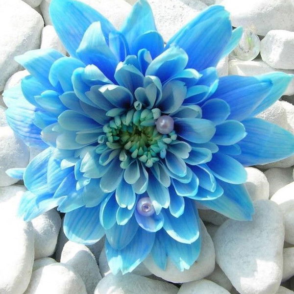 Юлия Русинова