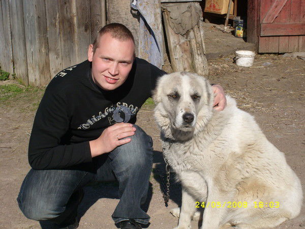 Сергей Меняйло