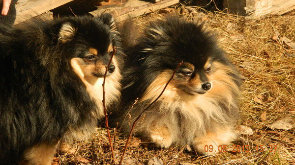 Оксана Матейчук