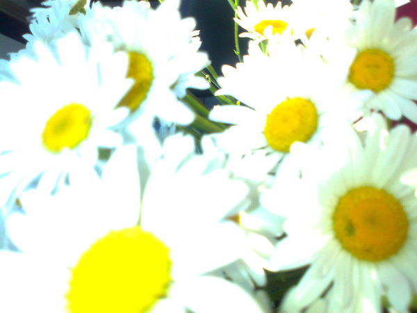 Татьяна Ерёмина