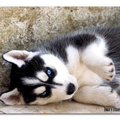 Ольга Нурдинова