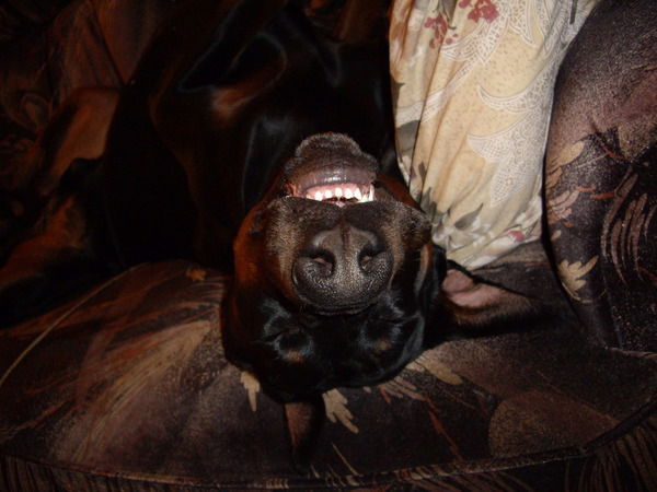 Сергей Пачин