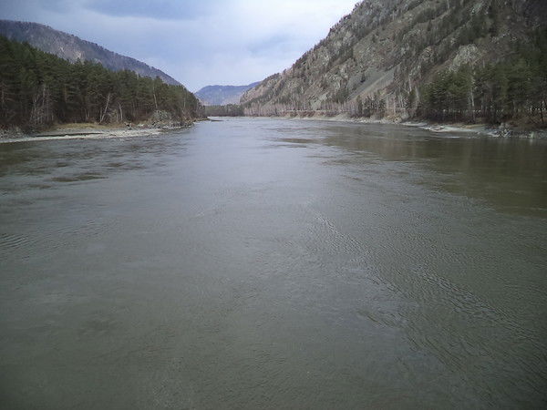 Дмитрий Тигунцев