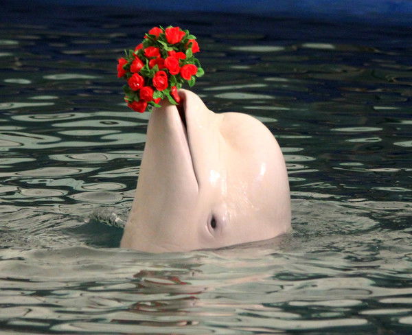 Вера Иванова