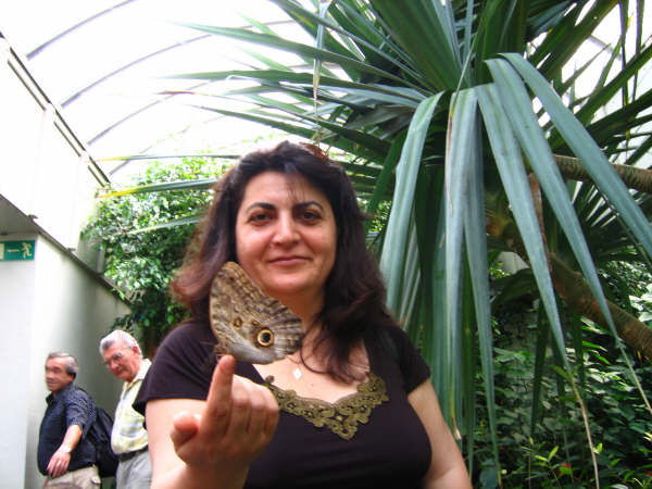 Минара Касанова