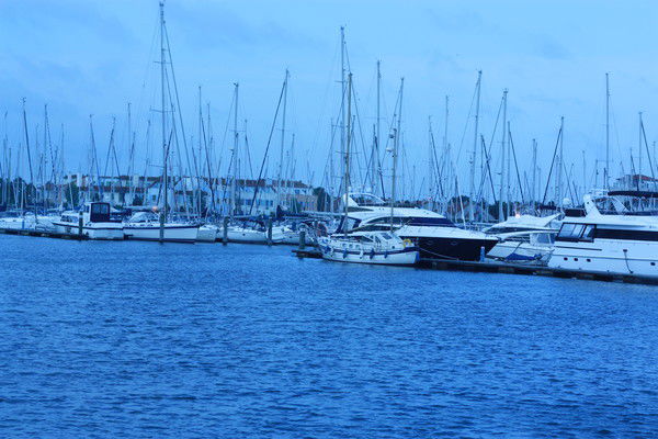 Алла Николаевна