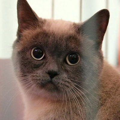 Танюша Гербер