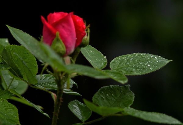 Гульмира Бейсембаева