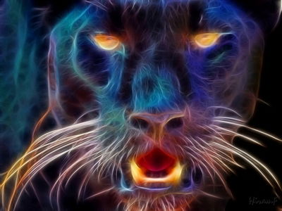 Лёша Самутин