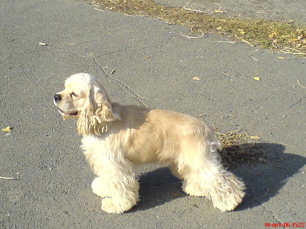 Вера Волкова