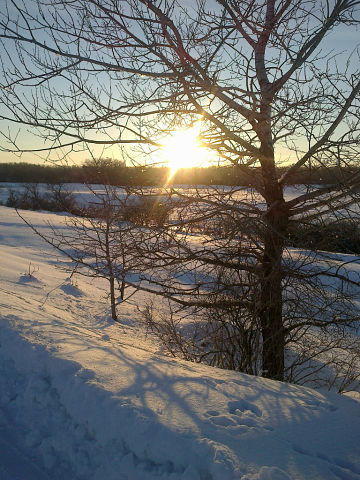 Марина Нуржанова