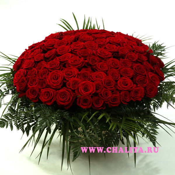 Асем Жапарбаева .