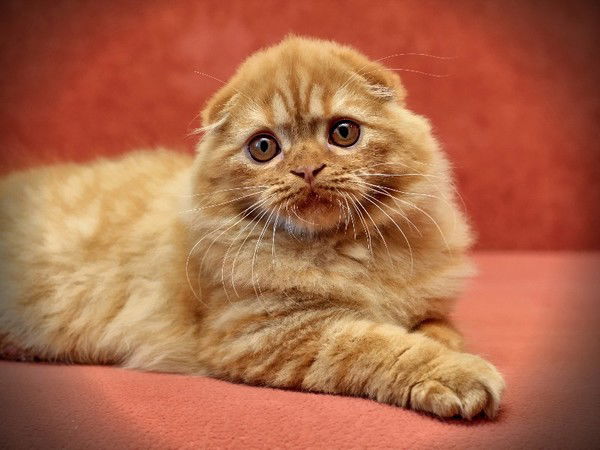 Наталья Крючкова