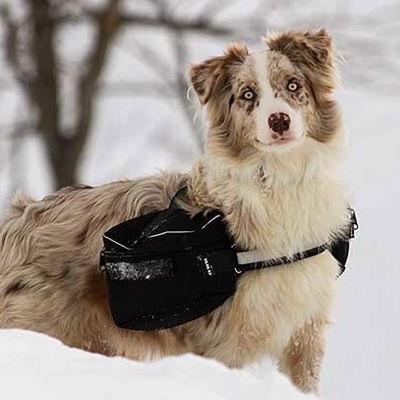 Леся Летаева