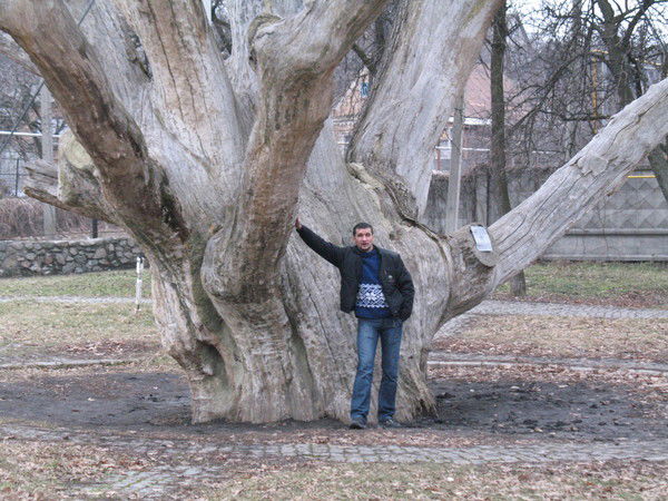 Александр Панасюк