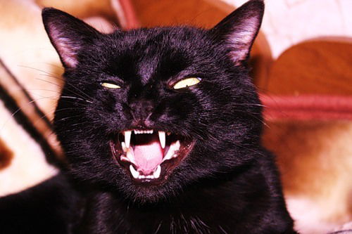 Жанна ))))))))))