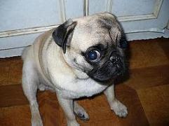 Марина Касаткина