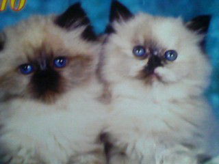 Надежда Солодкова