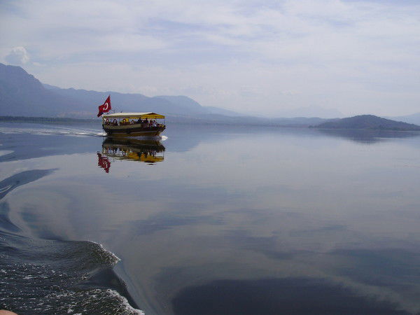 Борис Борис