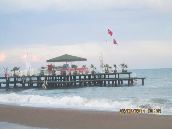 Ольга Владимировна