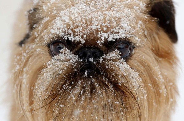 Иван Полещук