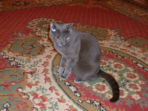 Евгений Иванов